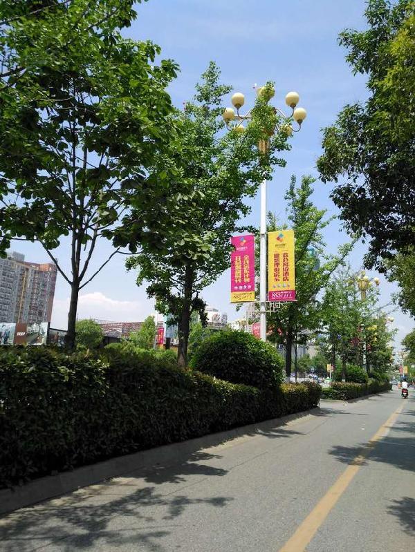 论小清新,汉中我只服中山街!