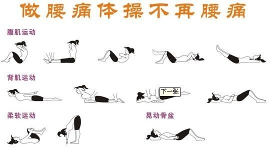 腰椎间盘突出 腰痛的运动疗法 健康频道 手机搜狐