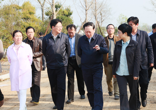 陈义国来应城调研美丽乡村"一线一点"建设
