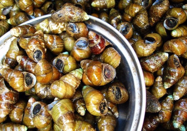 海一家超市省钱攻略:活动期间买这些更划算!-新闻频道-手机搜狐