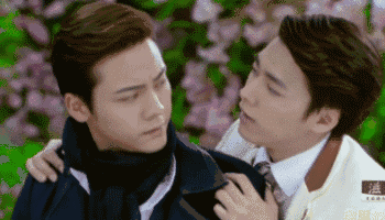 是真爱!最佳男男cp组合,哪一对儿是你的菜?