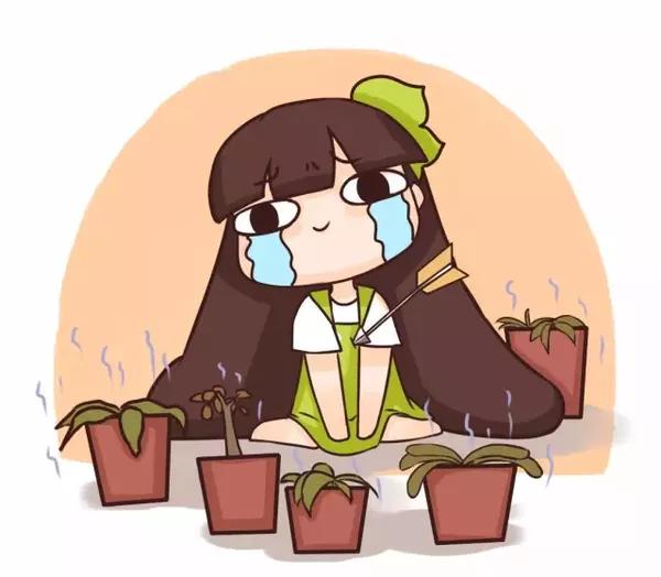   1,常见死因:浇水不当 症状:萎蔫