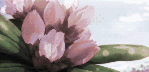 500_243gif 动态图 动图