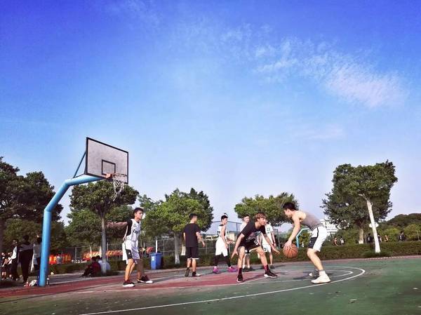 "据说会打篮球的男生更帅"