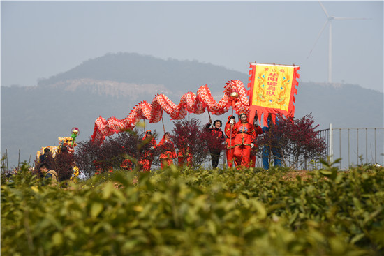 安徽含山县举办第四届采茶节