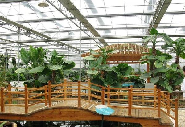 玻璃温室生态餐厅夏季如何降温