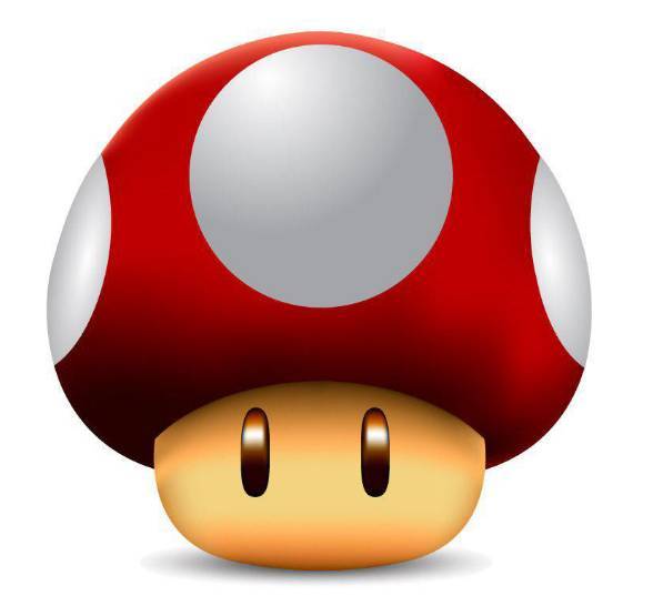 蓝瘦香菇!新西兰这些美丽的蘑菇千万别采!