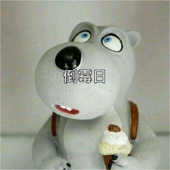 12月不许再倒霉了 搜狐网