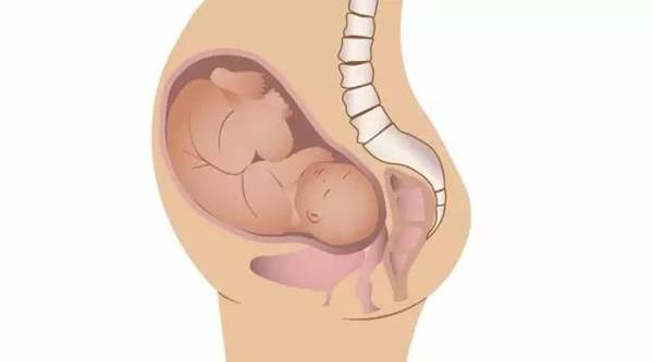 注意了 宝宝在用胎动告诉你 妈妈 我不舒服了 新闻频道 手机搜狐