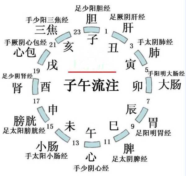 子午流注与 天人合一 观 新闻频道 手机搜狐