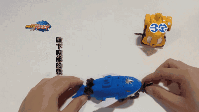 星甲鲸变成双腿