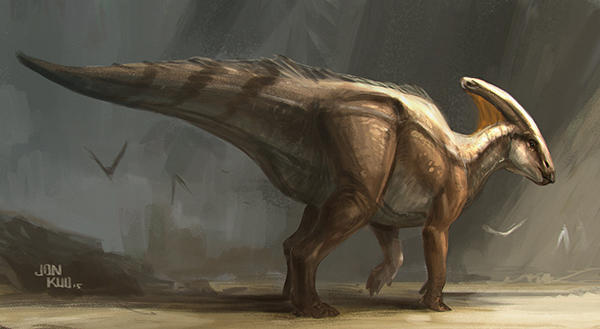 副栉龙的最亲近物种应是最近在中国新发现的卡戎龙,两者的颅骨类似