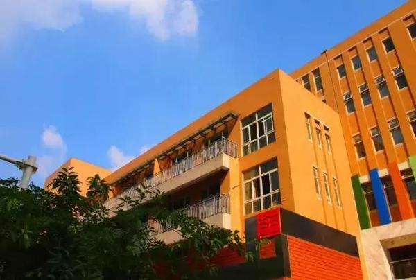 成华小学:爱相伴 美相随