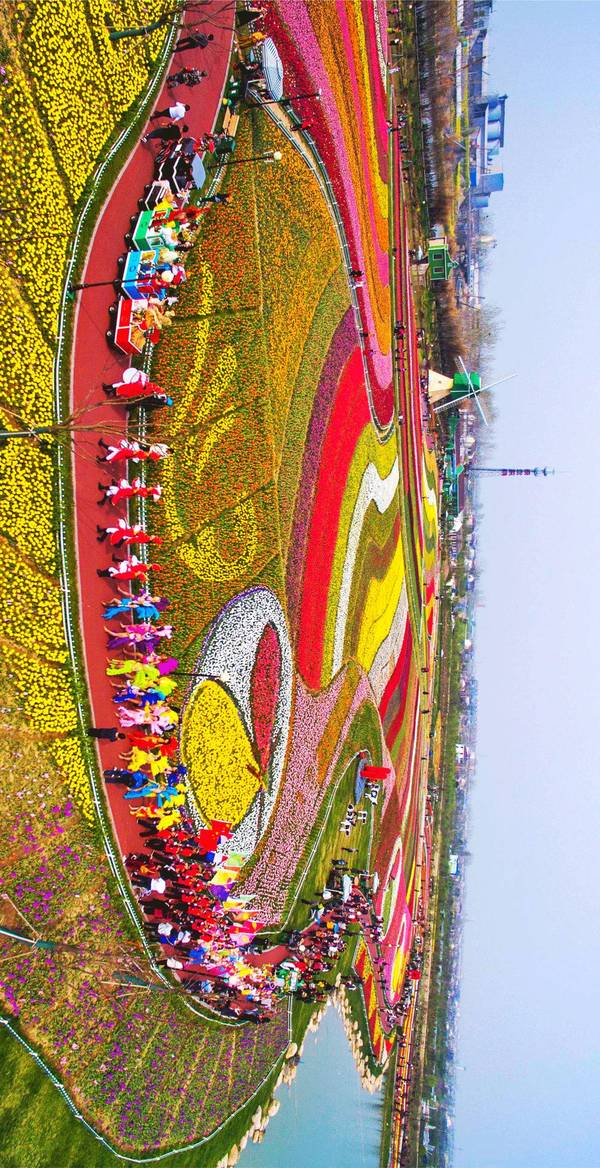 黄菡和张靓颖都来了,南京周边这个花海要火!