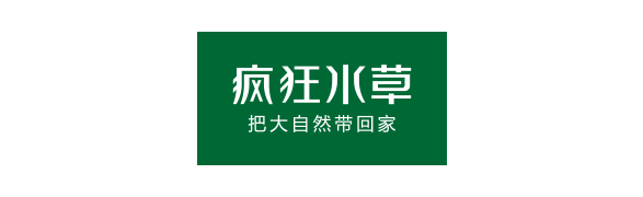 牛逼的ada造景教程 句句都是经验 新闻频道 手机搜狐