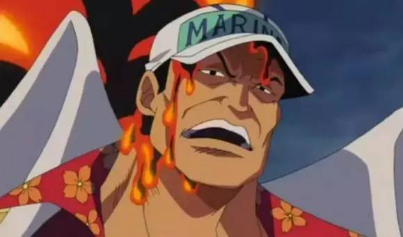 海贼王 自然系无觉醒 它们早就出现了 无线频道 手机搜狐