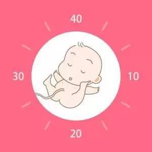 好孕时刻 今天你数胎动了吗 母婴频道 手机搜狐