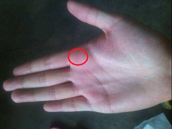 5:食指根部木星丘隆起,红润的手相.