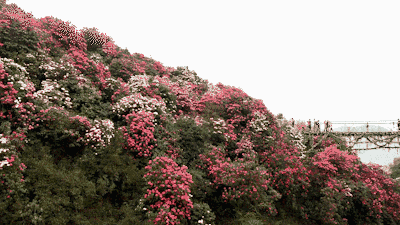 400_225gif 动态图 动图