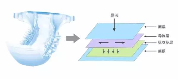首先,我们来看看纸尿裤的基本结构