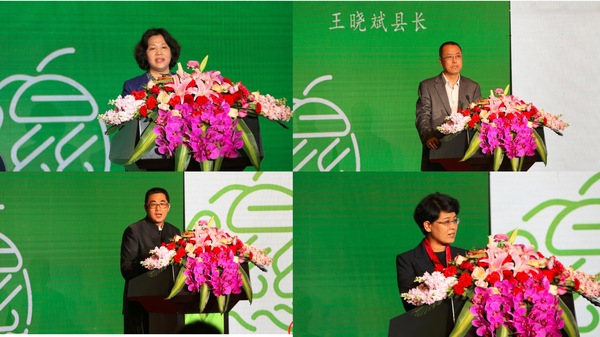 隰县玉露香梨品牌战略设计单位农本咨询首席专家贾枭认为,目前中国