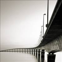 [风景头像] 自从失去你 世界黯淡无光黑白微信头像