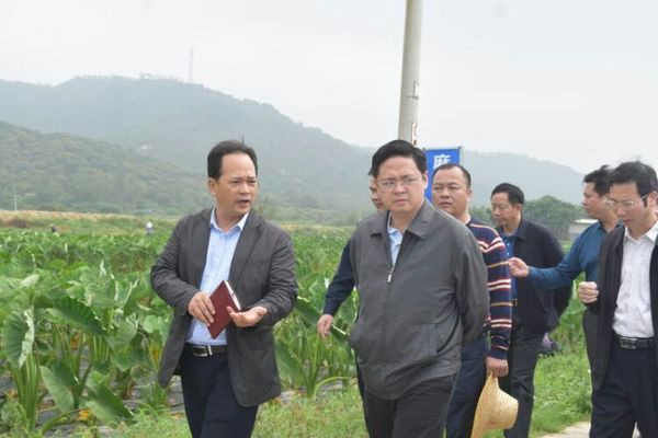 麻岗镇党委书记吴伟华(左一)陪同茂名市委常委,电白区委书记陈小锋(左