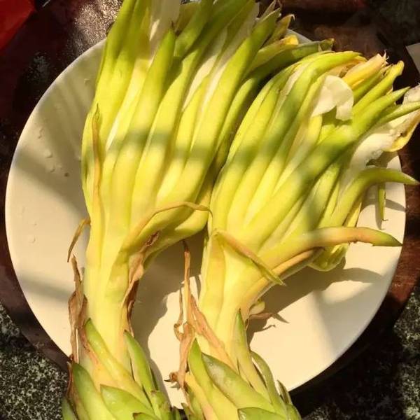 丽江常见骗局揭秘,别再让你的亲朋好友中招了