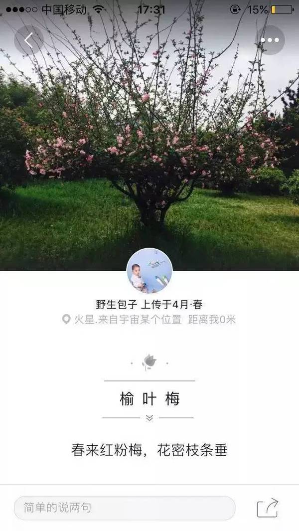 让你一秒上瘾的智能识花app 再也不怕孩子问 这是什么花 了 教育频道 手机搜狐