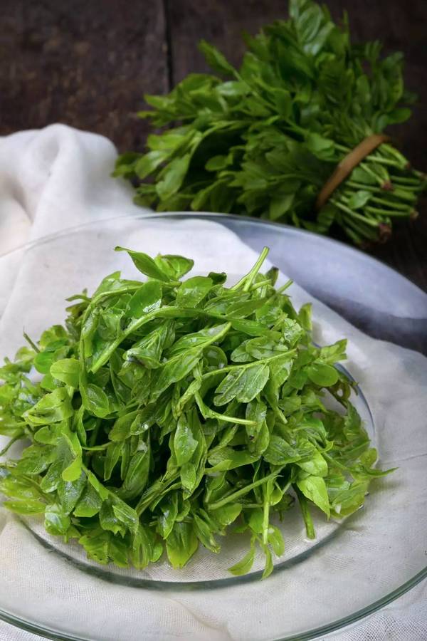 蒜泥炒皂角尖 足够鲜绿的嫩叶,咸鲜爽口.