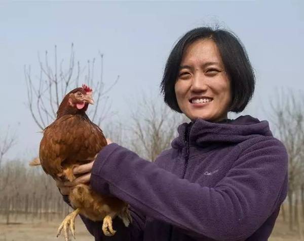 石嫣活跃在鸡舍及田间地头