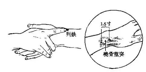 大椎准确位置图和作用一_大椎的准确位置图作用功效_大的准确位置图片