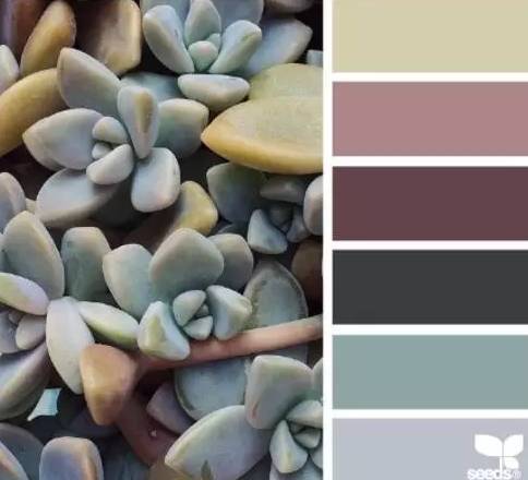 真相是你不够色!