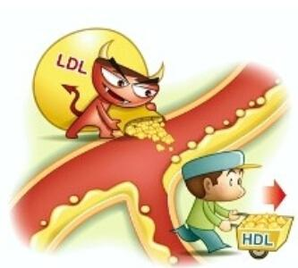 运动是降脂 灵药 让你的血脂快速降降降 健康频道 手机搜狐