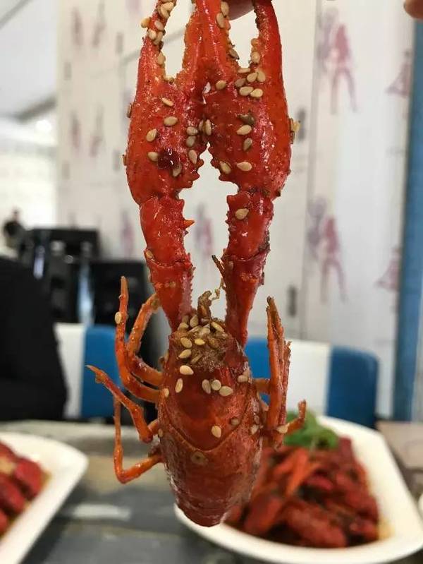 【中奖名单】传说中的怪味龙虾到底什么味儿?去尝一尝就知道了!