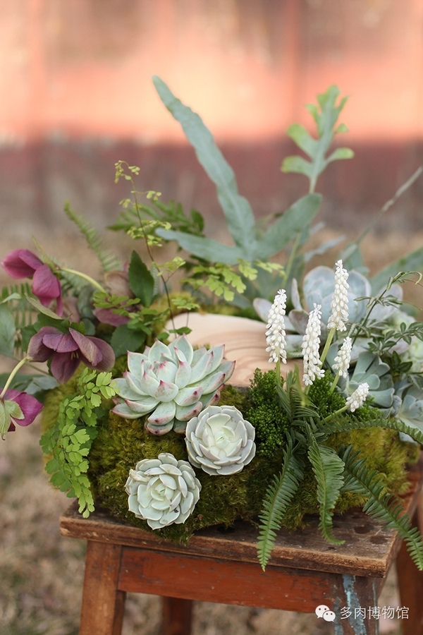 其实婚礼上布置多肉花艺并不是那么困难,只要你选择好自己的婚礼风格