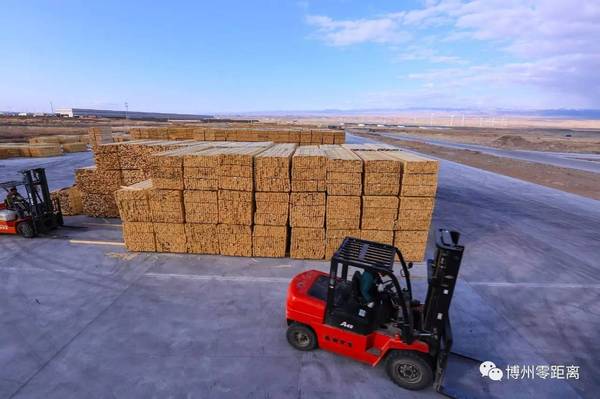 忙碌的进口木材堆场