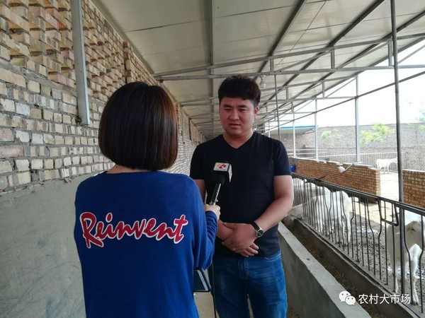 【明日播出】80后小伙的养羊致富经