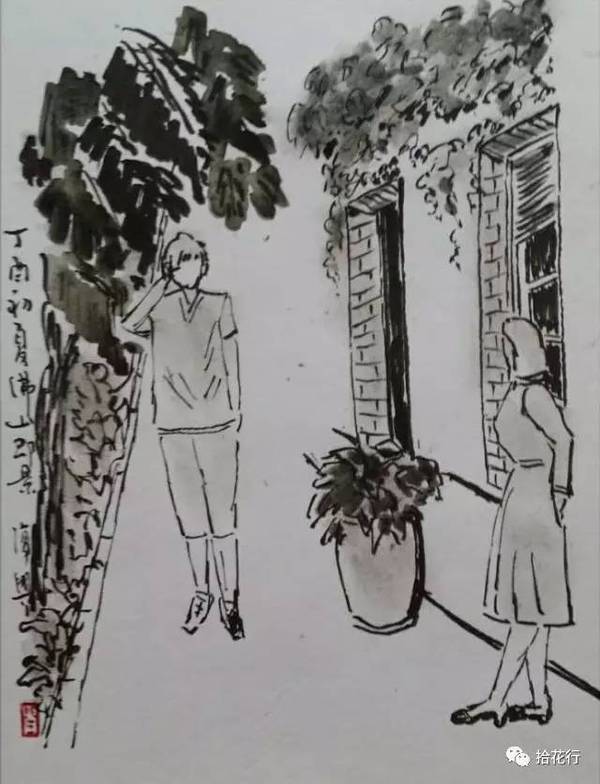 荐读| 那片爬山虎总是那么绿着