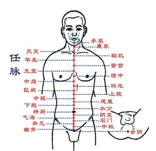 与女性健康密不可分的任脉和带脉 该如何锻炼 母婴频道 手机搜狐