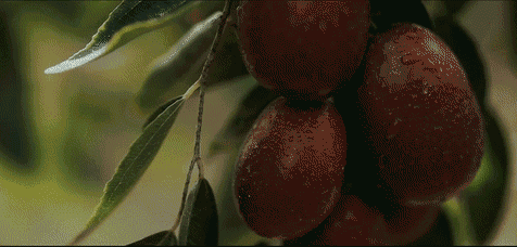 476_228gif 动态图 动图