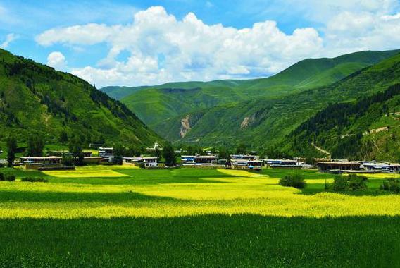 道孚县第三届安巴农耕文化旅游节7月29日开幕