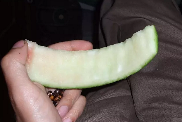 西瓜皮种花!好使不花钱!扔土里植物长疯了!