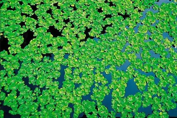 古装演员们吃了哪些不该吃的东西?