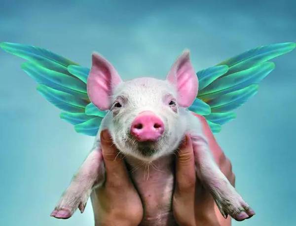 以"小而散"著称的养猪行业正摘掉原始,落后,甚至"看天吃饭"的标签.