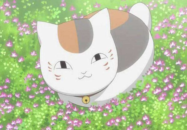 找不到女朋友 不如来找个猫妖吧 无线频道 手机搜狐