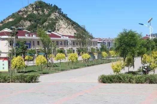 平泉市桲椤树镇厉害了!不服不行!