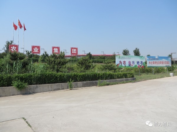 磁县乡镇风采|凤凰涅盘中的观台镇