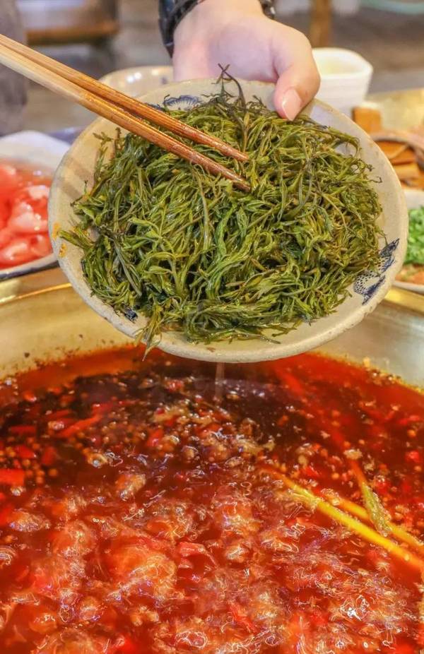作为火锅届的新宠,鞭炮笋的外界登场次数可谓是少之又少!