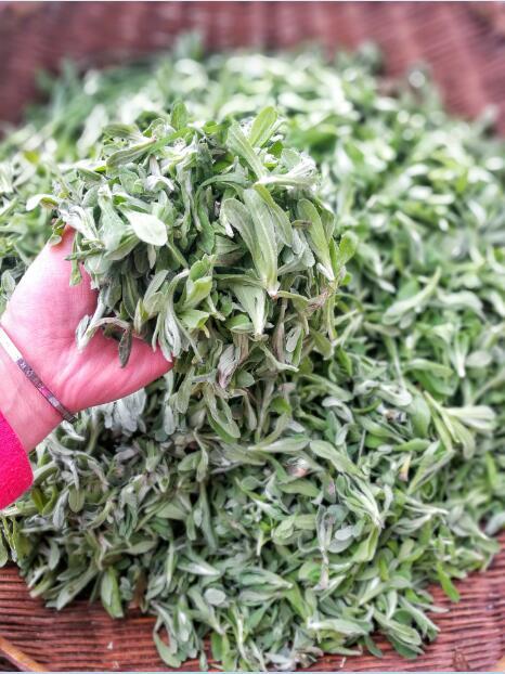 寻味川渝|你手中拿起的清明菜粑粑,就是家的味道